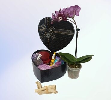 Kozmetika: Black box set XL (Maybelline Maskara The colossal 100% black, Elseve