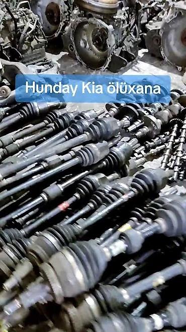 öluxana: Hyundai və Kia avtomobilləri üçün ehtiyat hissələri - Model sırası — 1