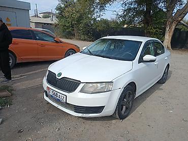 Skoda: Skoda Octavia: 2014 г., 1.6 л, Механика, Бензин, Седан — 3
