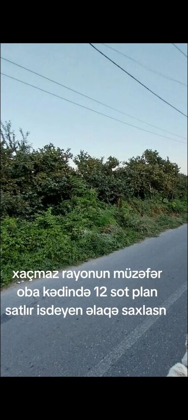 xaşaxunada torpaq satilir: 12 sot, Mülkiyyətçi, Kupça (Çıxarış)