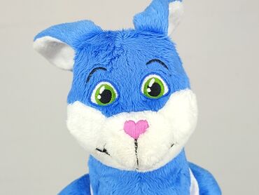 Mascot condition - Very good