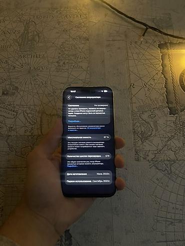 48: IPhone 15 Pro, Б/у, 128 ГБ, Серебристый, Чехол, 87 % — 5