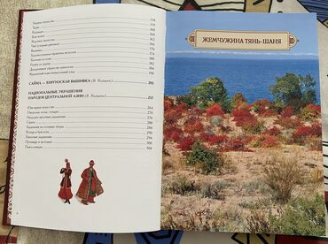 Кыргызский язык и литература: Кыргызская литература, 11 класс, Новый, Самовывоз — 10