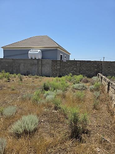 Torpaq: 4 sot, Kupça (Çıxarış) — 1
