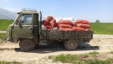 УАЗ: УАЗ 452 Buhanka: 1976 г., 3.7 л, Механика, Дизель, Пикап — 7