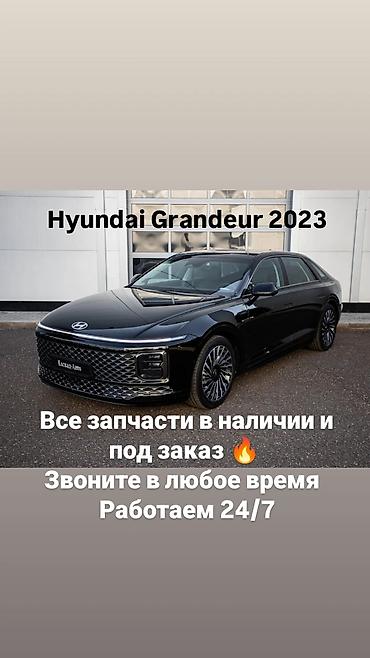 Запчасти для Hyundai Grandeur 2023 - Оригинальные и аналоговые
