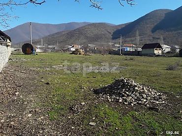 torpaq gəncə: 21 sot, Tikinti, Mülkiyyətçi, Kupça (Çıxarış) — 2