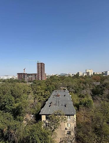 донецкий: 2 комнаты, 61 м², 9 мкр 106 серия, 9 этаж, Требуется ремонт — 10
