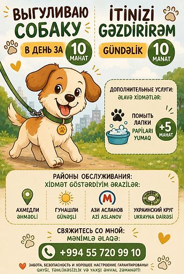 передержка животных в баку: Выгул собак 🐶 Мне 14–15 лет, я ответственный и очень люблю животных — 1