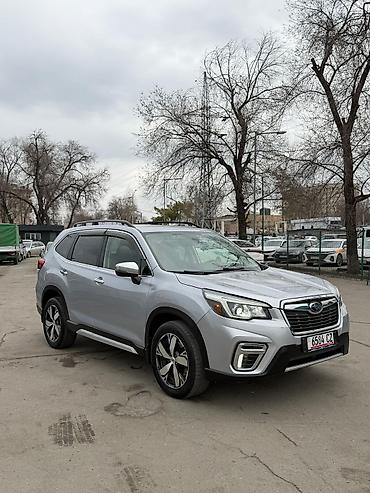Subaru: Subaru Forester: 2019 г., 2.5 л, Вариатор, Бензин, Кроссовер — 1