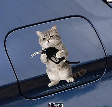 kia optima 2011: Məhsul: Avtomobil yanacaq çəninin qapağı üçün yumoristik vinil — 3