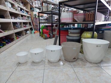 Bitkilər üçün dibçəklər: Dipçekler Gül qabilar ferqli modeller ferqli ölçulerde 1 aznden — 7