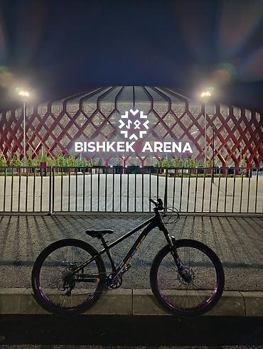 mtb bike: Горный велосипед, Рама L (172 - 185 см), Сталь, Б/у — 2