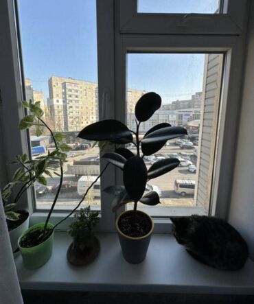 Продажа квартир: 3 комнаты, 62 м², 105 серия, 4 этаж, Евроремонт