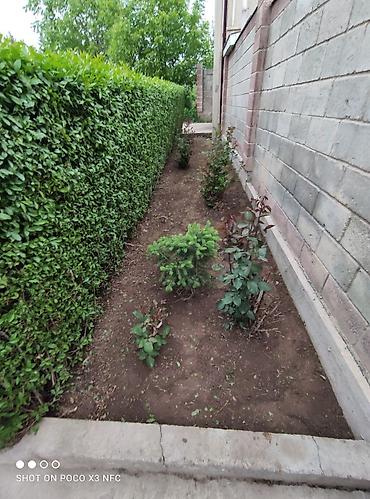 Дворники, садовники: Я Садовник все виды работы Уборка огорода весенний осенний — 12