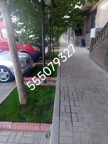копать огород цена за сотку: Чернозем в мешках, подходит для газона и.т.д