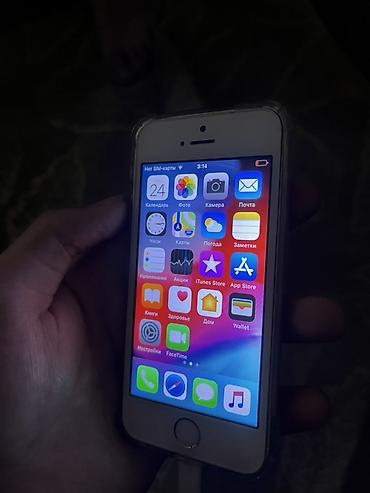 IPhone 5s, цвет Gold - Экран 4" Retina (1136×640), стекло с