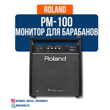 динамики: Монитор для цифровой ударной установки Roland PM-100 Roland PM-100 —