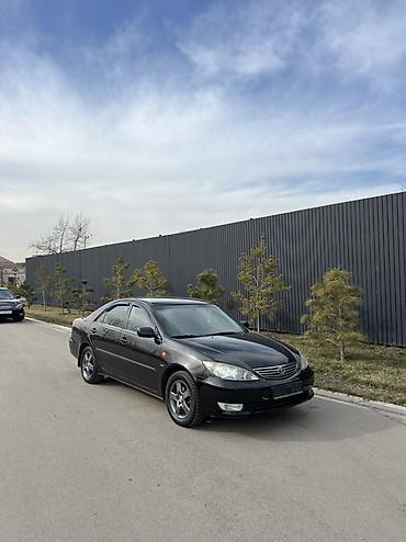 Toyota: Toyota Camry: 2005 г., 2.4 л, Автомат, Газ, Седан — 3