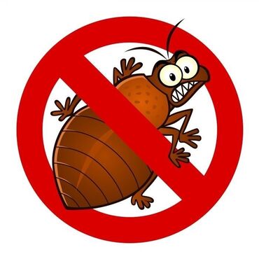 уничтожение клопов тараканов: Дезинфекция, дезинсекция | Клопы, Блохи, Тараканы | Транспорт, Офисы, Квартиры
