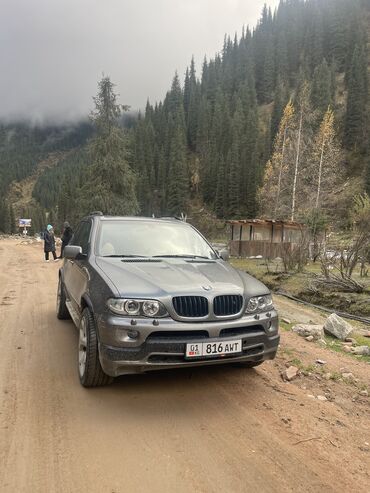 машины за 6000 долларов: BMW X5: 2004 г., 4.4 л, Автомат, Бензин, Кроссовер