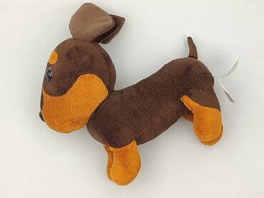 Mascot Dog, condition - Perfect
