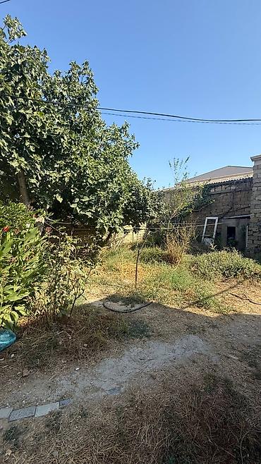ev alqı: 3 otaqlı, 56 kv. m, Kredit yoxdur, Təmirsiz — 1