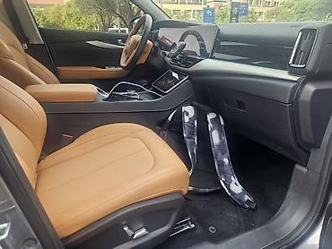 Weltmeister: Weltmeister W6, 2021 г., 68000 км, На заказ — 9