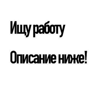 ищу работу кафе: Официант. С опытом