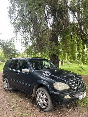 g2 master: Mercedes-Benz ML-Class: 2004 г., 2.7 л, Автомат, Дизель, Внедорожник — 5
