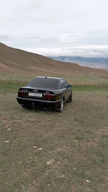 lexus ls 200: Audi 100: 1991 г., 2.6 л, Бензин, Седан — 2