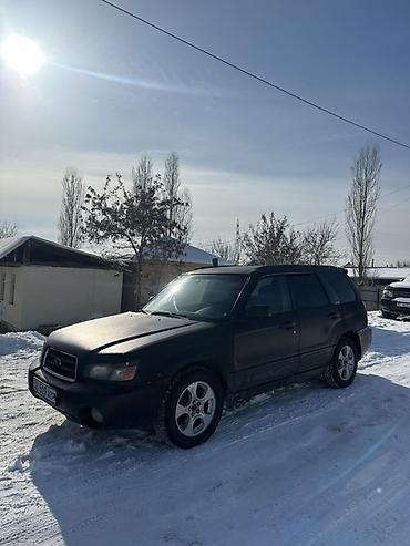 Subaru: Subaru Forester: 2003 г., 2.5 л, Автомат, Газ, Кроссовер — 7