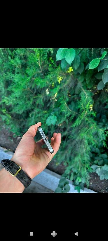 mini iphone: IPhone 15 Pro, Б/у, 256 ГБ, Desert Titanium, Защитное стекло, Чехол, Коробка, 81 % — 5