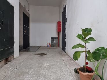 Uzunmüddətli kirayə mənzillər: - Çoxmərtəbəli yaşayış kompleksində mənzil. - Geniş, səliqəli həyət — 24