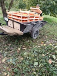 215 75 16 c: Satılır: Mata blok qoşqusu Təsvir: - İki təkərli, möhkəm metal