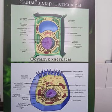 Печать: #таблички #стенды #буквы #наклейки #лайтбоксы #буквы #на авто — 3