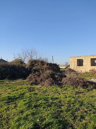 Kirayə torpaq sahələri: 100 sot Tikinti, Su — 15