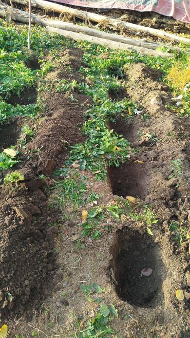 Цветы и букеты: Коробка с цветами в нежно‑розовой гамме. - Композиция в круглой — 8