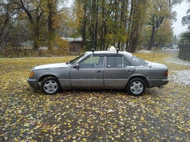 Mercedes-Benz: Mercedes-Benz W124: 1992 г., 2 л, Механика, Бензин, Универсал