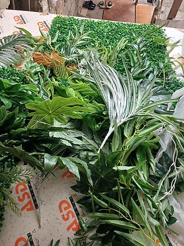 suni bitki: Dekorativ yaşılıq ölçü 140×80 Süni Yaşıl Divar Paneli – dekorativ — 9