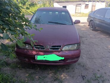 Nissan: Nissan Primera: 1998 г., 1.6 л, Механика, Бензин, Седан