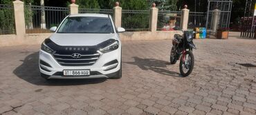 хендай солярис ош цена: Hyundai Tucson: 2018 г., 2 л, Типтроник, Дизель, Кроссовер
