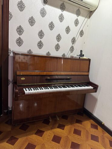 Dərin dondurucular: Piano, Akustik