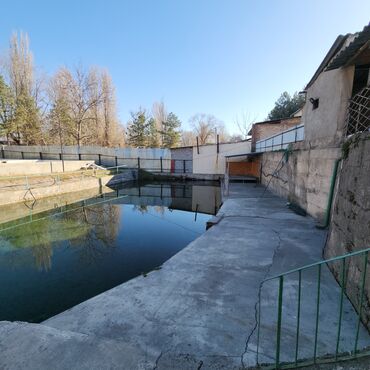 Продажа домов: Дом, 220 м², 7 комнат, Собственник, Евроремонт — 9