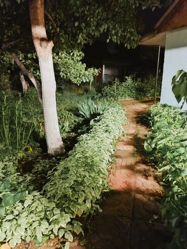 Посуточная аренда комнат: 18 м², С мебелью — 7