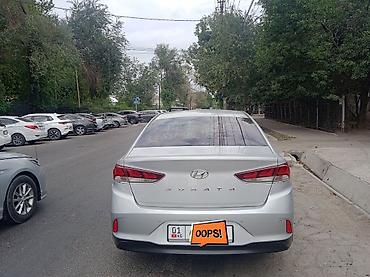 sonata: Hyundai Sonata: 2018 г., 2 л, Автомат, Газ, Седан — 2