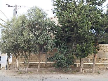 Həyət evləri və villaların satışı: 3 otaqlı, 110 kv. m, Kredit yoxdur, Təmirsiz — 2