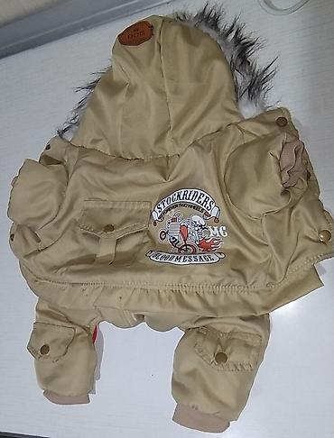 canada goose: Продаю комбинезон тёплый для маленьких собак.р-р L. Спинка26см.,обхват — 1