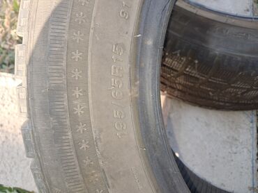портативный насос для шин: Шины 195 / 65 / R 15, Зима, Пара, Легковые, Sailun
