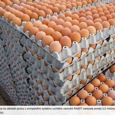 диван сокулук: Табыйгый жумуртка дун жана чекене баада Шаар ичинде жеткирип беруу